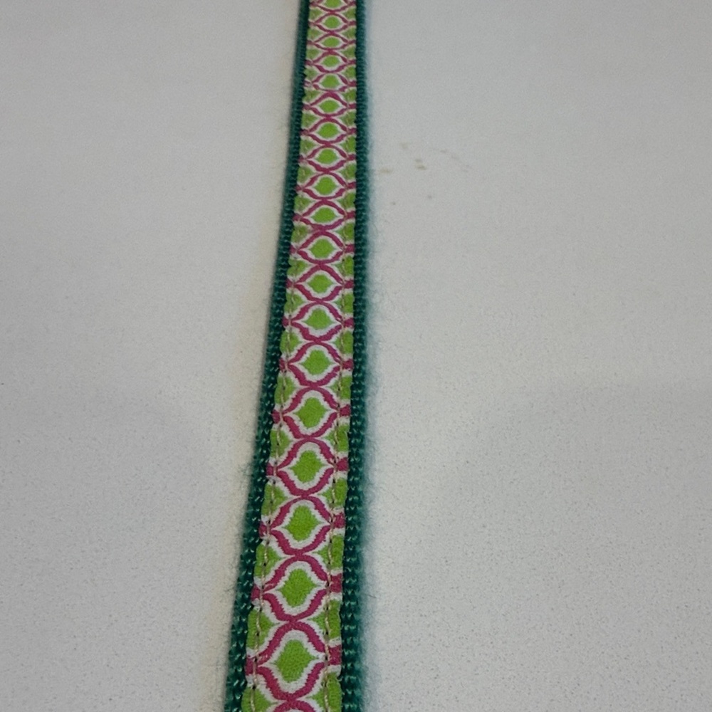 Stylish Green and Pink Dog Collar